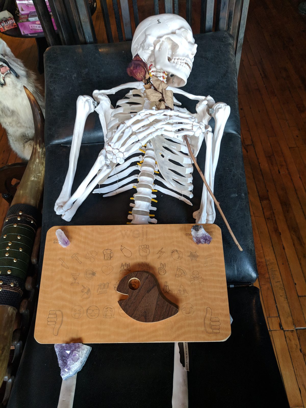 A full-size anatomical skeleton reclining with the Weji board across its lap